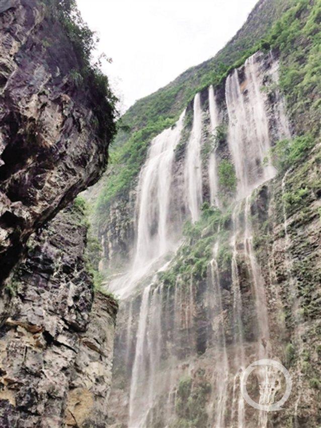 双效合一，多燕瘦苹果双肽纤维饮带你重返轻盈